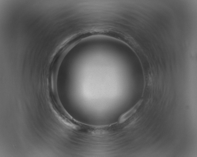 X0000053070444200507111222