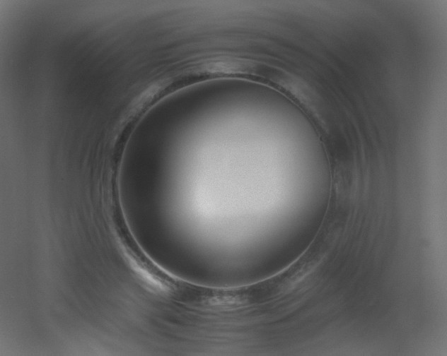 X0000053070445200507111222