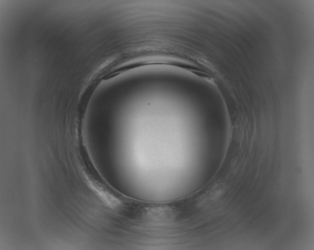 X0000053070446200507111222