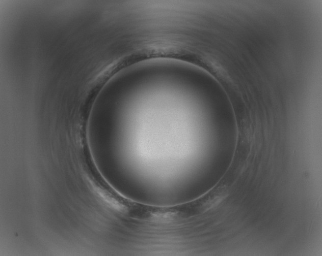 X0000053070450200507111222