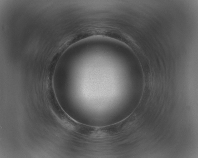X0000053070451200507111222