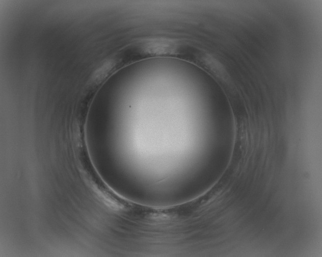 X0000053070453200507111222