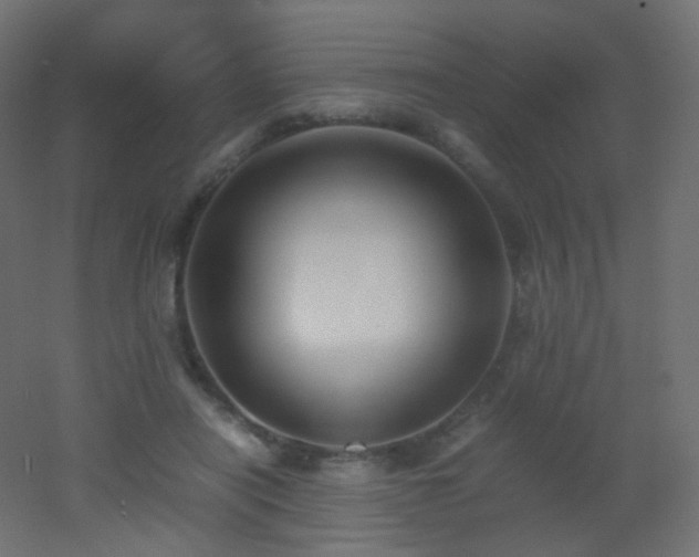 X0000053070454200507111223