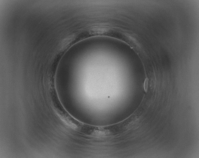 X0000053070455200507111223