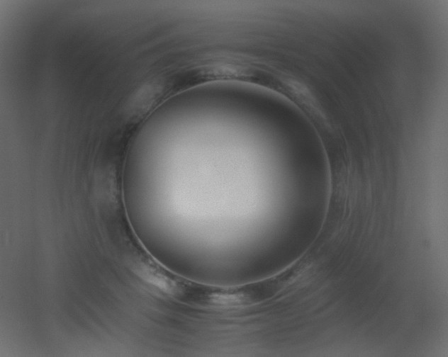 X0000053070457200507111223