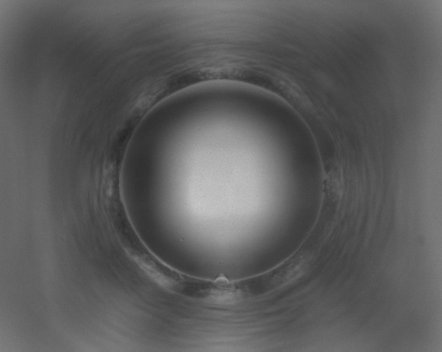 X0000053070458200507111223