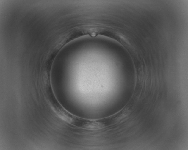 X0000053070459200507111223