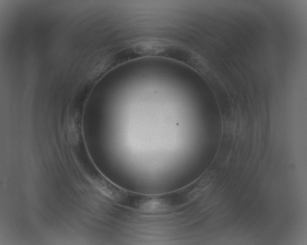 X0000053070460200507111223