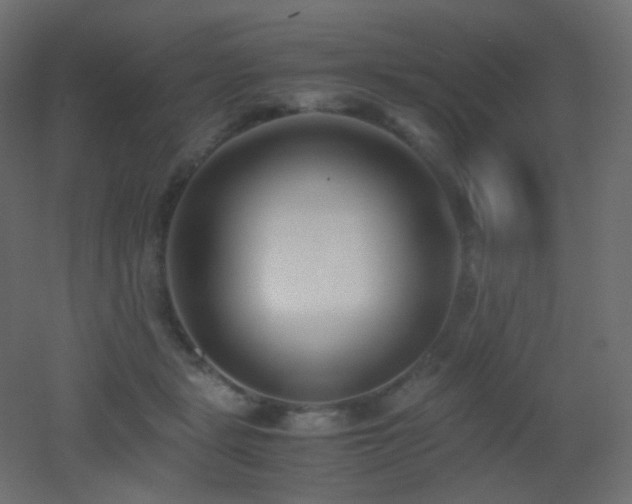X0000053070461200507111223