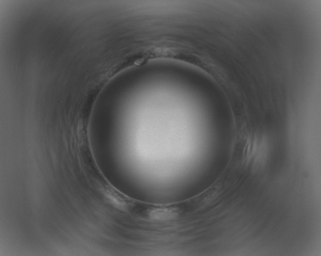 X0000053070465200507111223