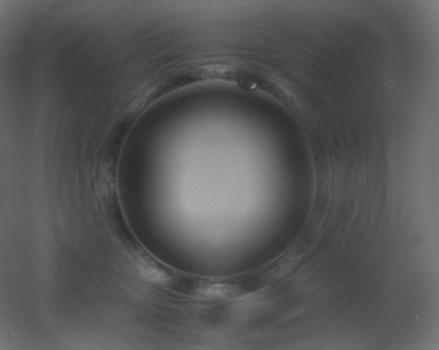 X0000053070467200507111223