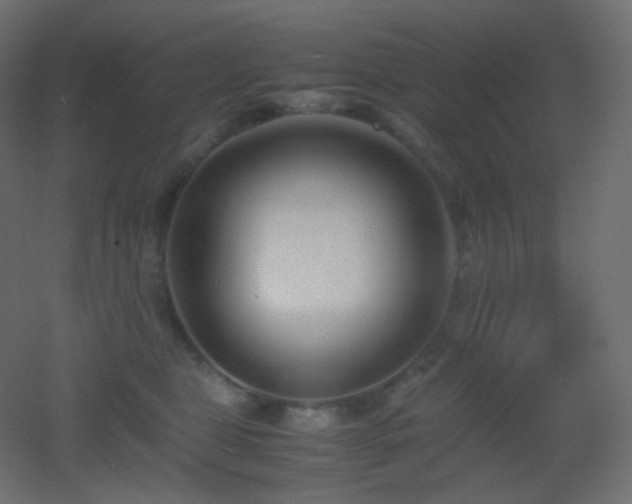 X0000053070469200507111223