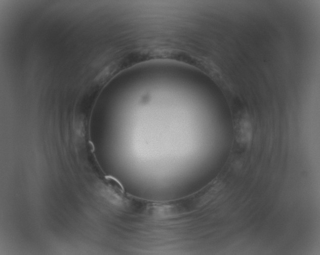 X0000053070472200507111223