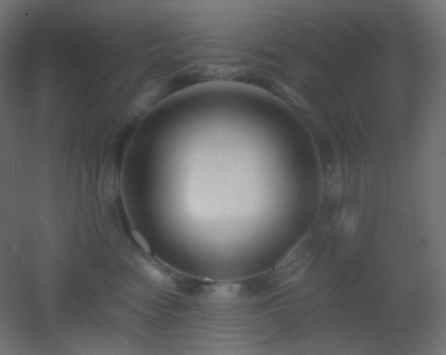 X0000053070474200507111223