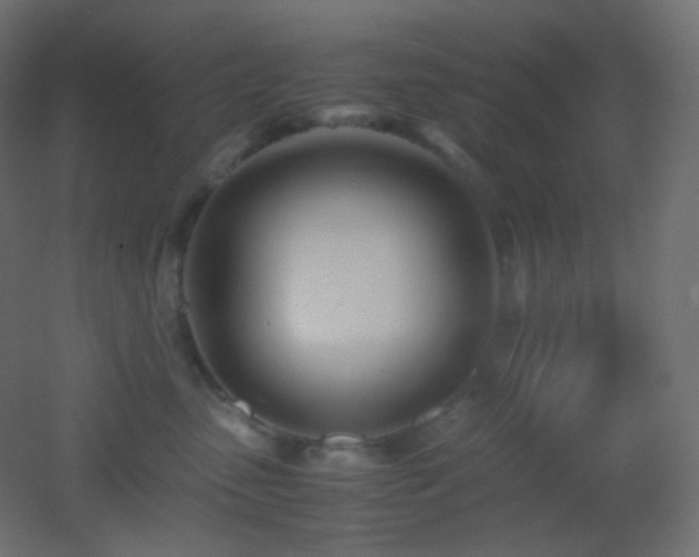 X0000053070475200507111223
