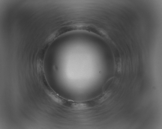 X0000053070476200507111223
