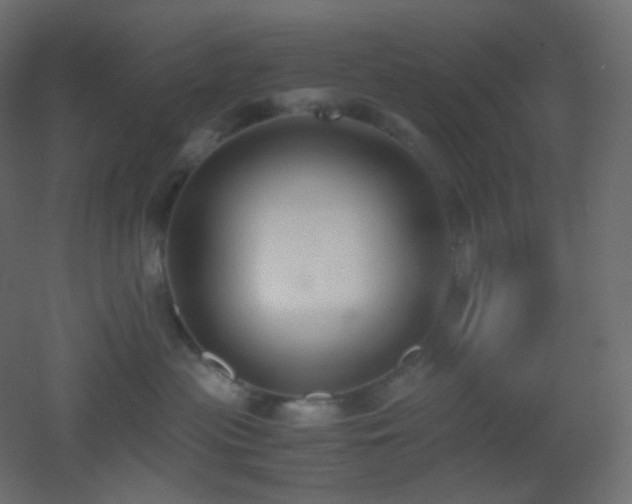 X0000053070477200507111223