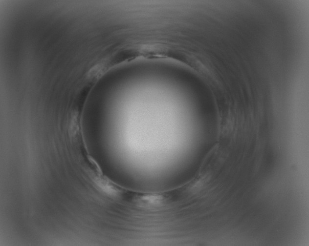 X0000053070478200507111223