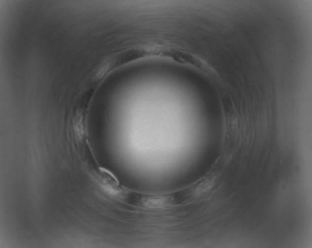 X0000053070479200507111223