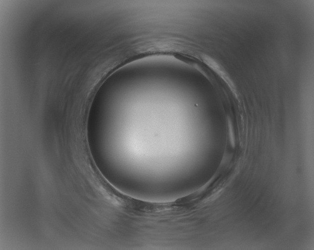 X0000053070481200507111222