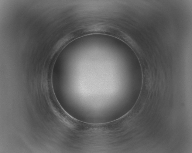 X0000053070482200507111222