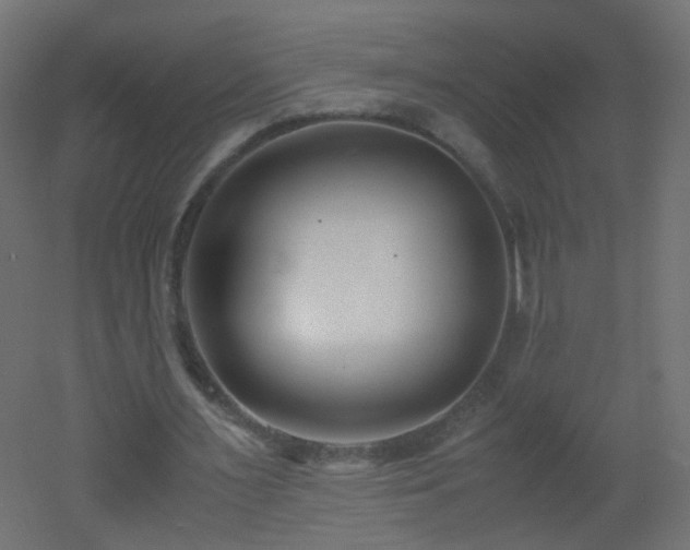 X0000053070483200507111222