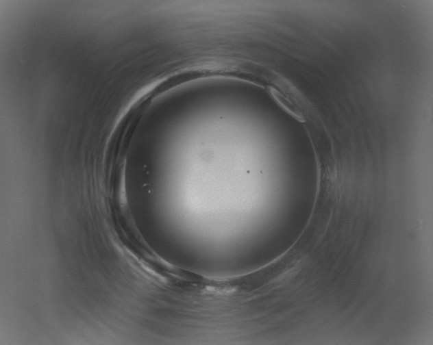 X0000053070484200507111222
