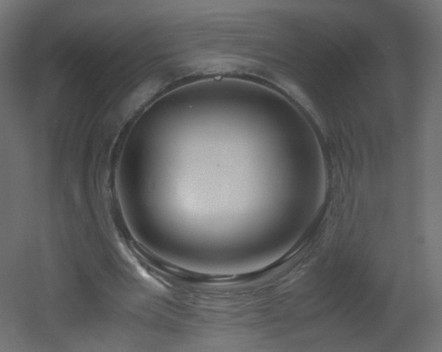 X0000053070485200507111222