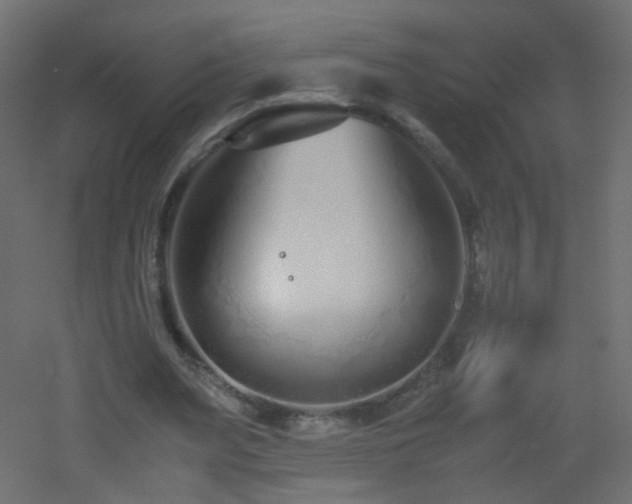 X0000053070487200507111222
