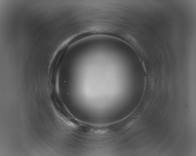 X0000053070488200507111222