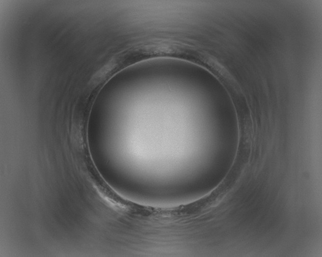 X0000053070489200507111222