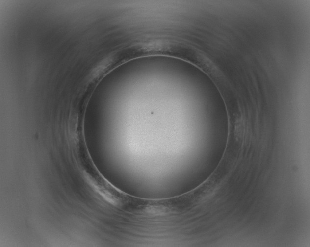 X0000053070490200507111222