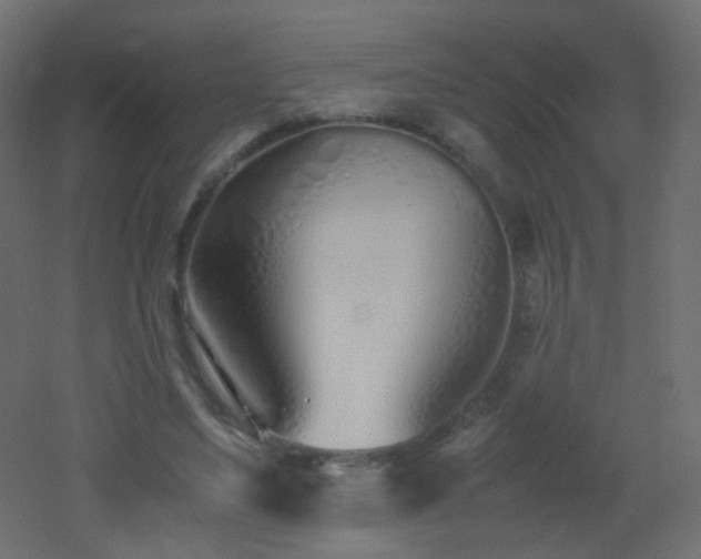 X0000053070491200507111222