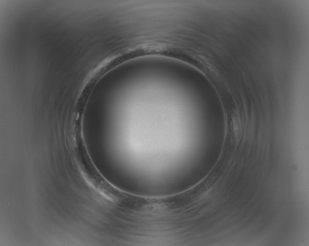 X0000053070492200507111222