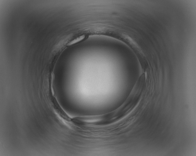 X0000053070493200507111222