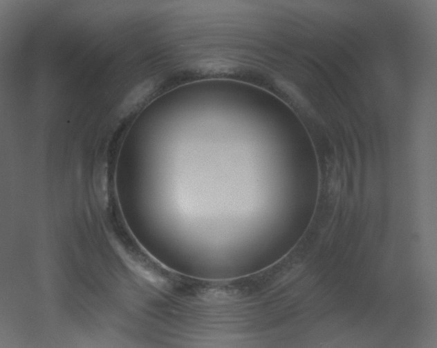 X0000053070494200507111222