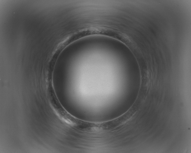 X0000053070496200507111222