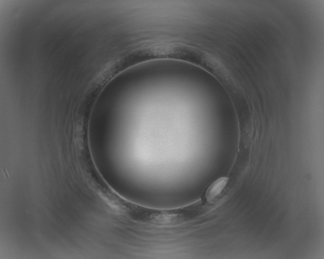 X0000053070497200507111222