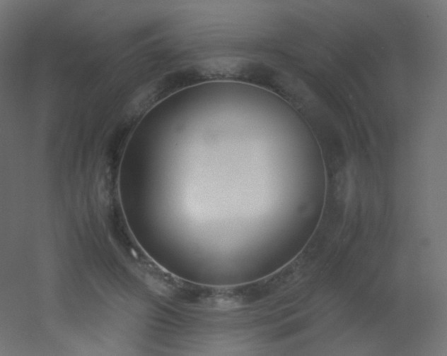 X0000053070498200507111222