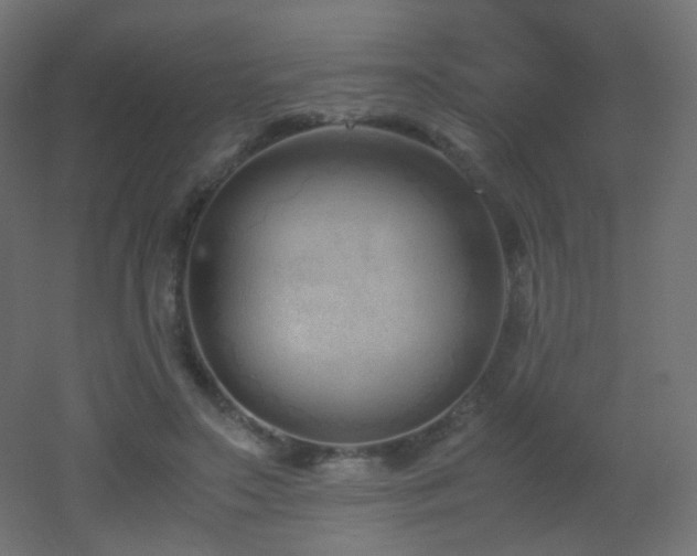X0000053070499200507111222