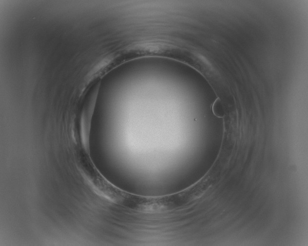 X0000053070500200507111222