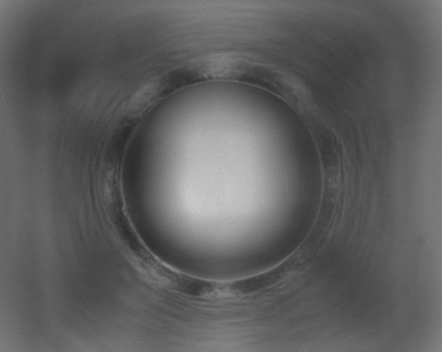 X0000053070503200507111222