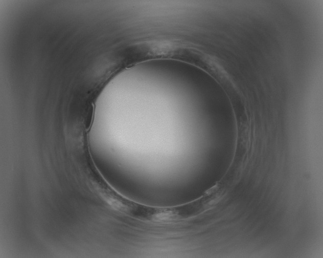 X0000053070505200507111222