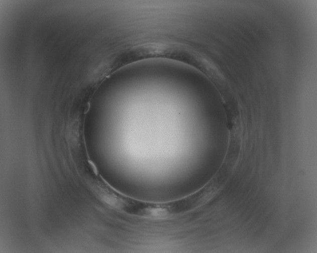 X0000053070509200507111222