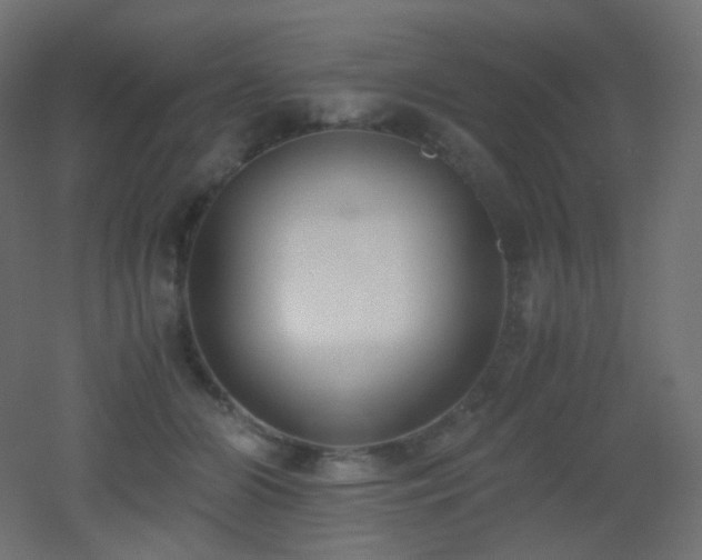 X0000053070510200507111222