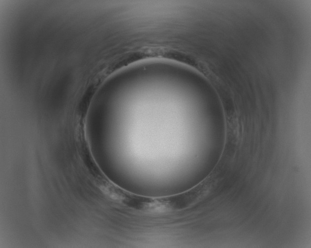 X0000053070511200507111222