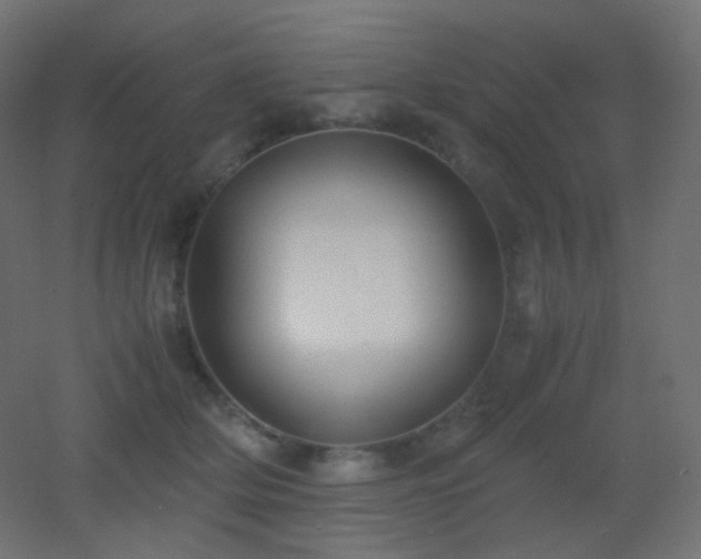X0000053070514200507111222