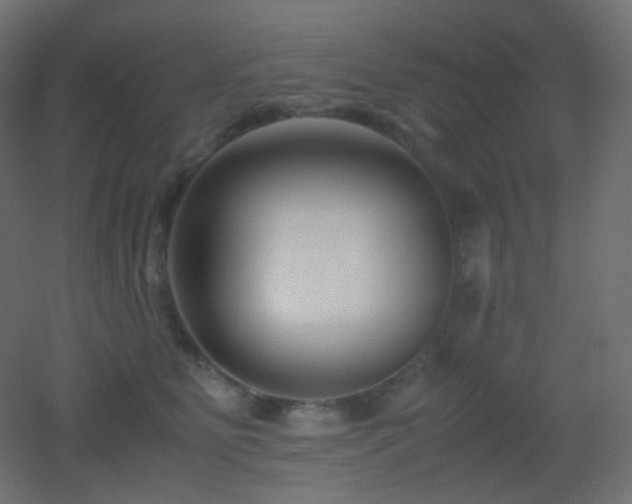 X0000053070515200507111222