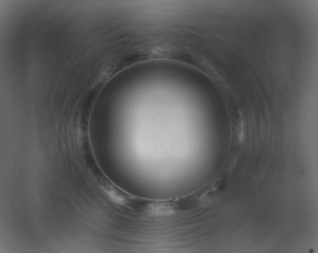 X0000053070520200507111221