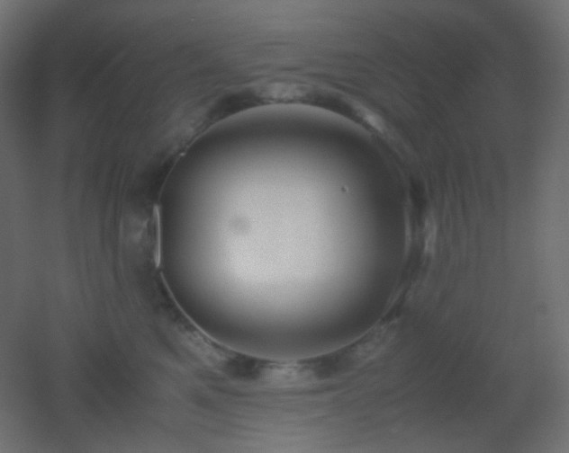 X0000053070521200507111221